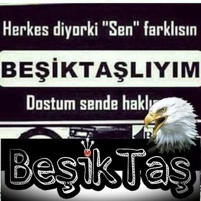 Recepr15's profile picture. 