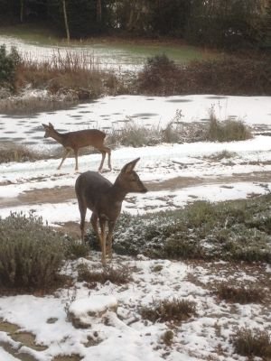 SCGB11's profile picture. Save Chadderton's Greenbelt Group. Raising awarness of the benefits of the Greenbelt for all sections of the community