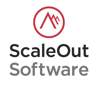 ScaleOut Software Profile