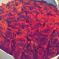 شموخ الحوسني ♥️ (@cxxxmm65) Twitter profile photo