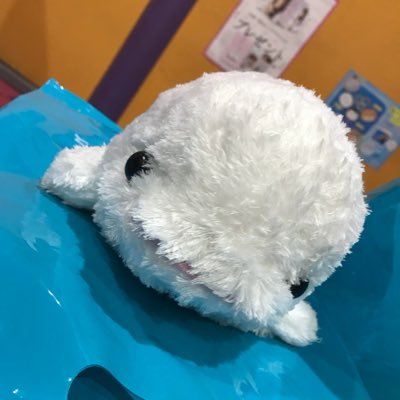 tmn_hado's profile picture. 日常とか、好きなものとか。         ゆず ダーツ