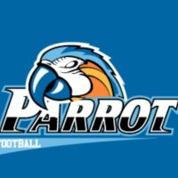 Poly Parrot Football (@parrot_poly) 's Twitter Profile