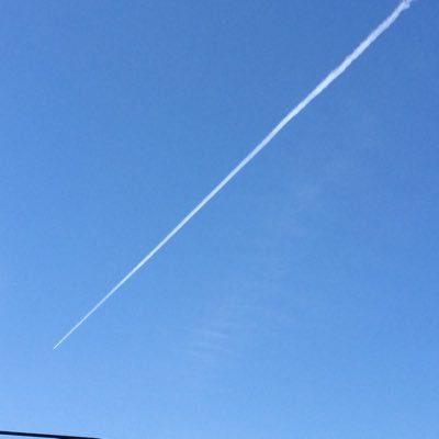 east_mouse's profile picture. 閲覧用です