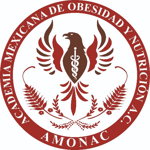 ACADEMIA MEXICANA DE OBESIDAD Y NUTRICIÓN  Puebla, Pue. Tel 2-40-11-00  cel: 22 24 26 68 61