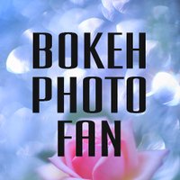 ボケフォトファン(@bokehphotofan) 's Twitter Profile Photo