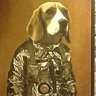 STGCMU88's profile picture. I am that guy you met once at that thing back then