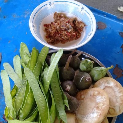 xayakonenayh's profile picture. 