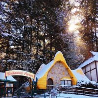 Enchanted Forest (@enchantdforst) 's Twitter Profile