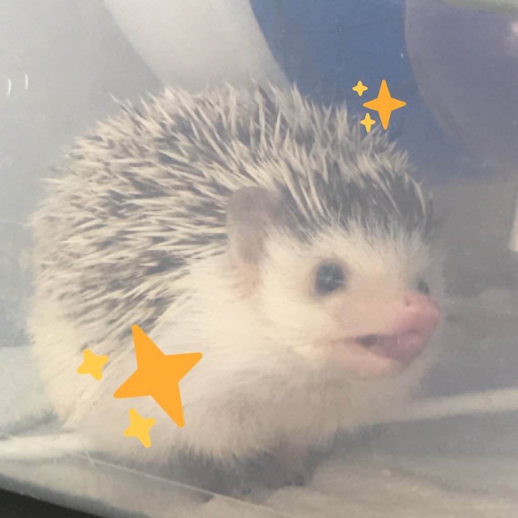 smoothjazz_goth's profile picture. ask me about my Danny devito embroidery