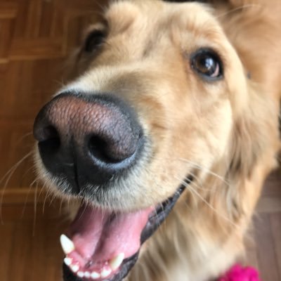 gaesroch's profile picture. La vida es demasiado corta para pasársela sentada.. yo vivo cada minuto intensamentE!