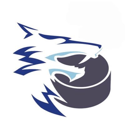 Official Twitter account of the Cold Lake Ice Jr. B hockey team!