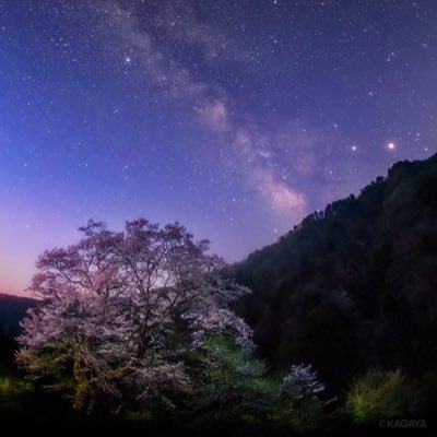 kinkon_kankon_7's profile picture. 気づけば50になる年です。人生も折り返し地点は過ぎてますが、年を気にせず、様々なとこに首を突っ込んでみたいです。スポーツや芸術、文学、政治など。あと、大人の世界もですね。無言フォローさせて頂くこともしばしばですがご寛恕頂きたくお願い致します。