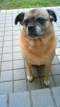 三好麻美 Maru344 Twitter