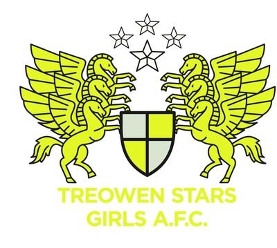 Treowen Stars GIrls FC Profile