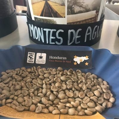 Productor de café 🇭🇳 Catador de café ☕️ Importador de café en Europa 🇪🇺