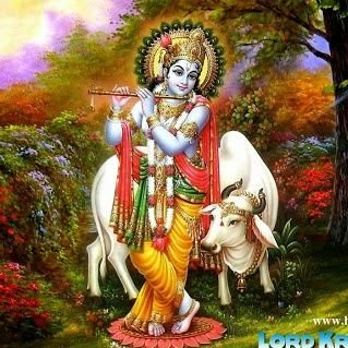 penchal_ch's profile picture. Busyyyy