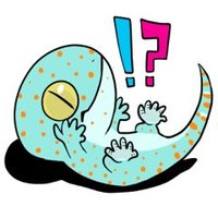 ゲッコー【Revive】 (@gecko_revive) 's Twitter Profile