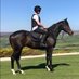Richie McGrath - Breaking/Pre Training of Horses (@richie_mcgrath) Twitter profile photo Richie McGrath - Breaking/Pre Training of Horses (@richie_mcgrath) Twitter profile photo
