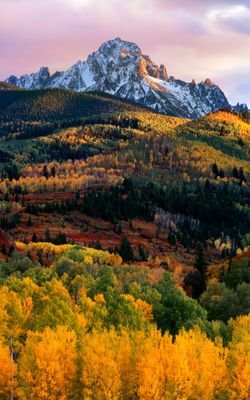 UALl1ZphgZFO39h's profile picture. アニメ、東方、等々そちら方面基本好きです。
無言フォローお許しいただけると嬉しいです。
基本的に絵描きさんの絵が好きでフォローすることが多いです。