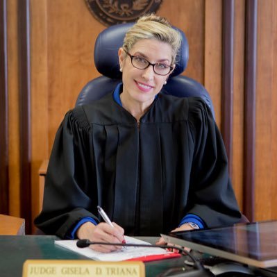 Justice, Texas 3rd Court of Appeals | Soccer Mom | Former Trial Judge | Former Prosecutor | UT Law Grad