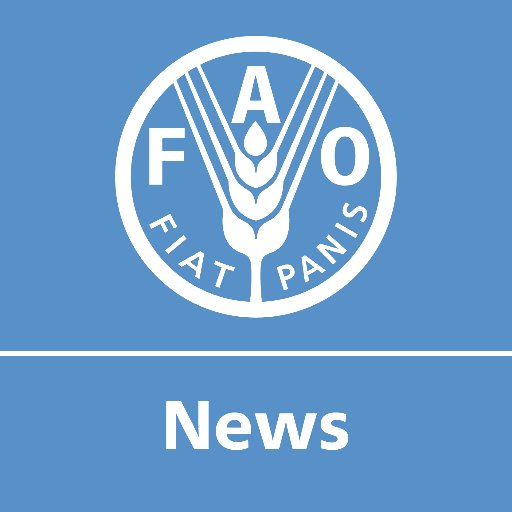 Latest news from the media relations team of @FAO, the UN agency that leads international efforts to defeat hunger. Follow our Director-General @FAODG.