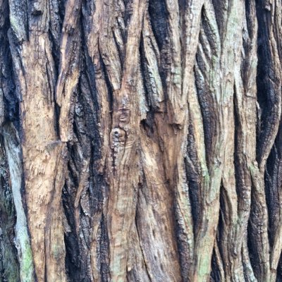 KirstieMillward's profile picture. 