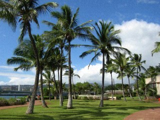 都会のオアシス Yasulabo Twitter