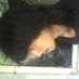 agung saputra (@agungsa52429286) Twitter profile photo agung saputra (@agungsa52429286) Twitter profile photo