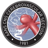 CV Section (@cvsection) 's Twitter Profile