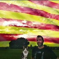 Antoni Velimelis(@Avelimelis) 's Twitter Profile Photo