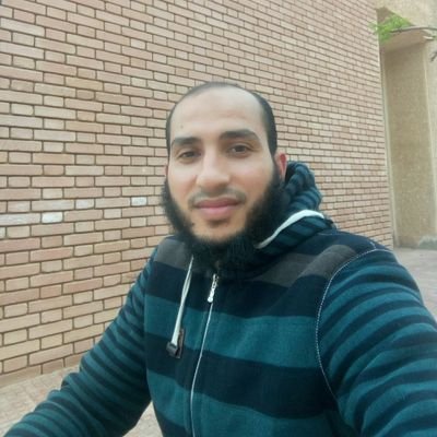 حاصل على دكتوراه في الأدب العربي، ومحقق للتراث