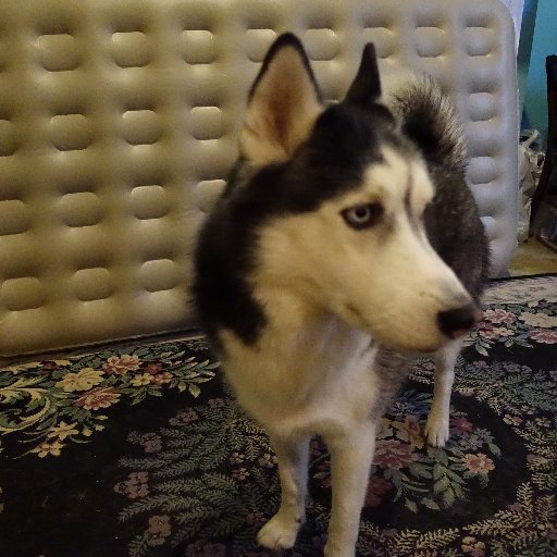 rubymaesm's profile picture. 