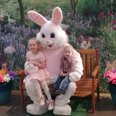 BAMgator's profile picture. 