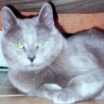 dallina84's profile picture. 