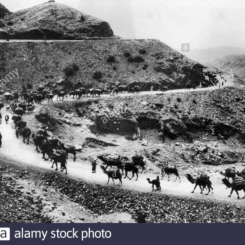 SalmanKhan1204's profile picture. Pakistan's most popular pass