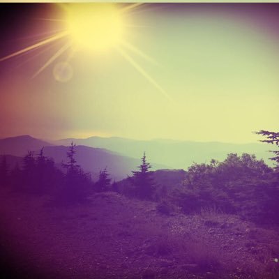 firashalabi's profile picture. 