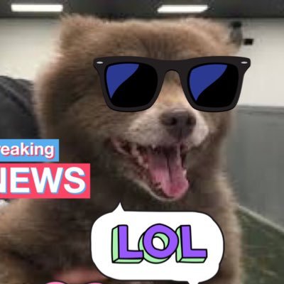 La suma gilipollez, notoria follonería y extrema chambonada de este mundo es de no creerse. 🐶🐻