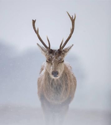 Naturegeograph1's profile picture. Nature lover 💛