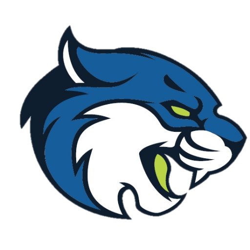 Official Twitter Account of Bryant & Stratton College Athletics - Wisconsin - NJCAA #BobCatNation #GoCats