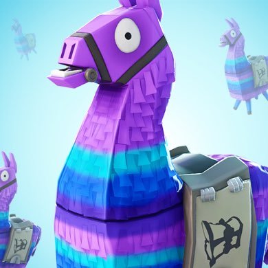 FORTNITE, rocket league, League of Legends, minecraft, PC & PS4. Avid coder