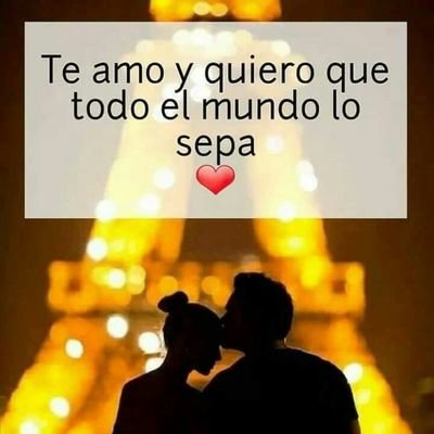 Fanyqch's profile picture. 