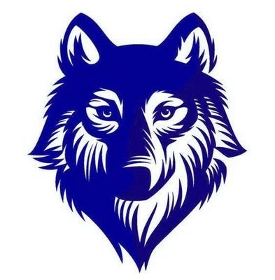 Helping businesses increase visibility, drive more traffic and improve commercial success through social media
#runwiththewolf #socialmedianinjas