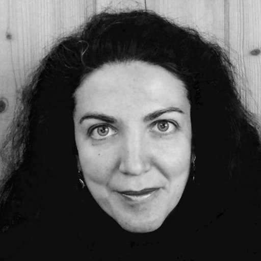 demettuncer7's profile picture. GATE OPEN