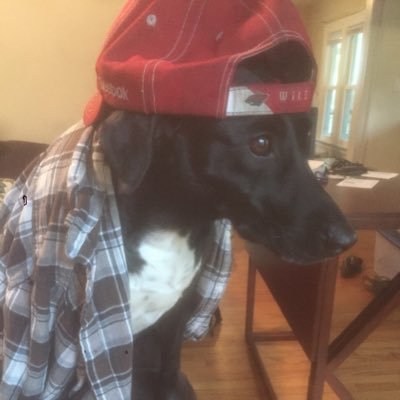 hooligan94yeah's profile picture. 