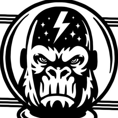 Space Chimp is a four piece Reggae-Rock outfit from Vancouver, BC with a mandolin and bass trading lead. Commanding drums and colourful lyrics! Watch us drink