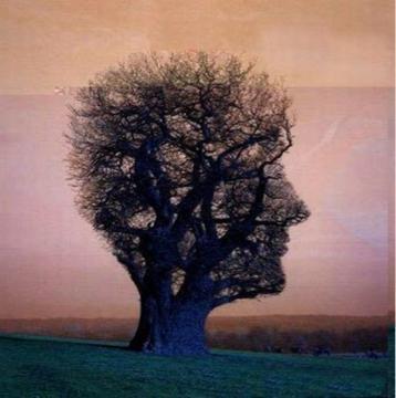 thitiratc11's profile picture. 