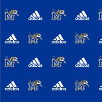 MCHS Athletics(@MartinCoSports) 's Twitter Profile Photo