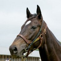 Southend (@southend) Twitter profile photo