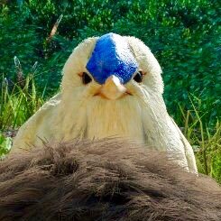 hachi_bunbun_'s profile picture. 不死将軍ストーキングのついでに撮ったスクショを気ままに並べる垢/MODは基本不使用/TL追えてません&リプもやたら見逃すごめんね(´ω`)無断使用転載ダメゼッタイ/本垢(@zodiac_88_)/DMC5もやってるよ（@dmc_zodiac88_)