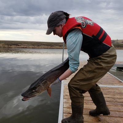 ShaynaHamilton4's profile picture. Biology UG at UofR - Research Assistant in #fisheries  - Regional Coordinator for Nightjar Surveys #scicomm #womeninSTEM #CitizenScience